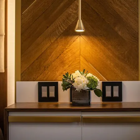 Starmax City's Yalova