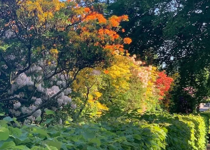 Starmax City's Yalova Szálloda Kazimiye